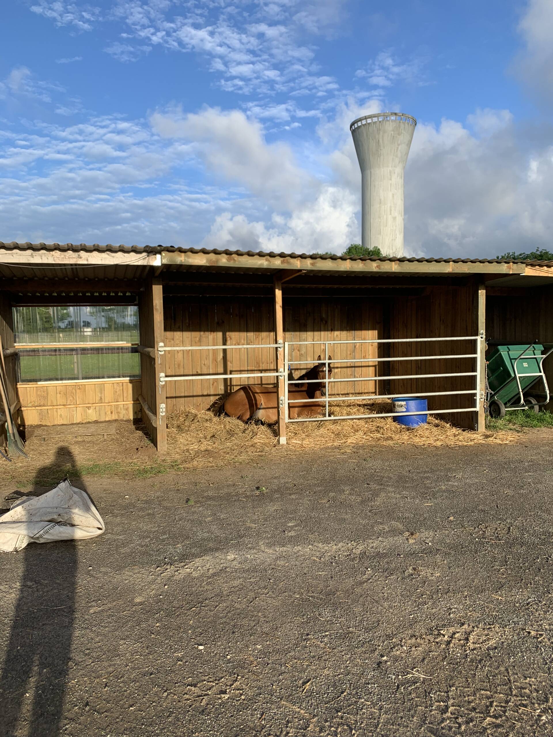 Pension chevaux et poneys – box, paddock et herbage