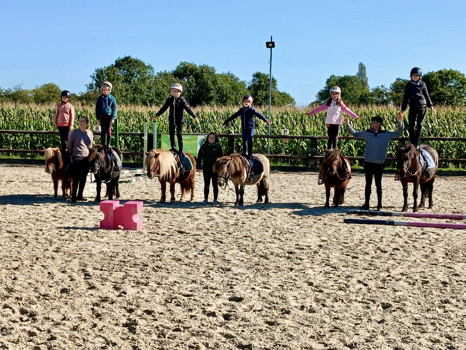 Cours à l’année – collectifs et particuliers