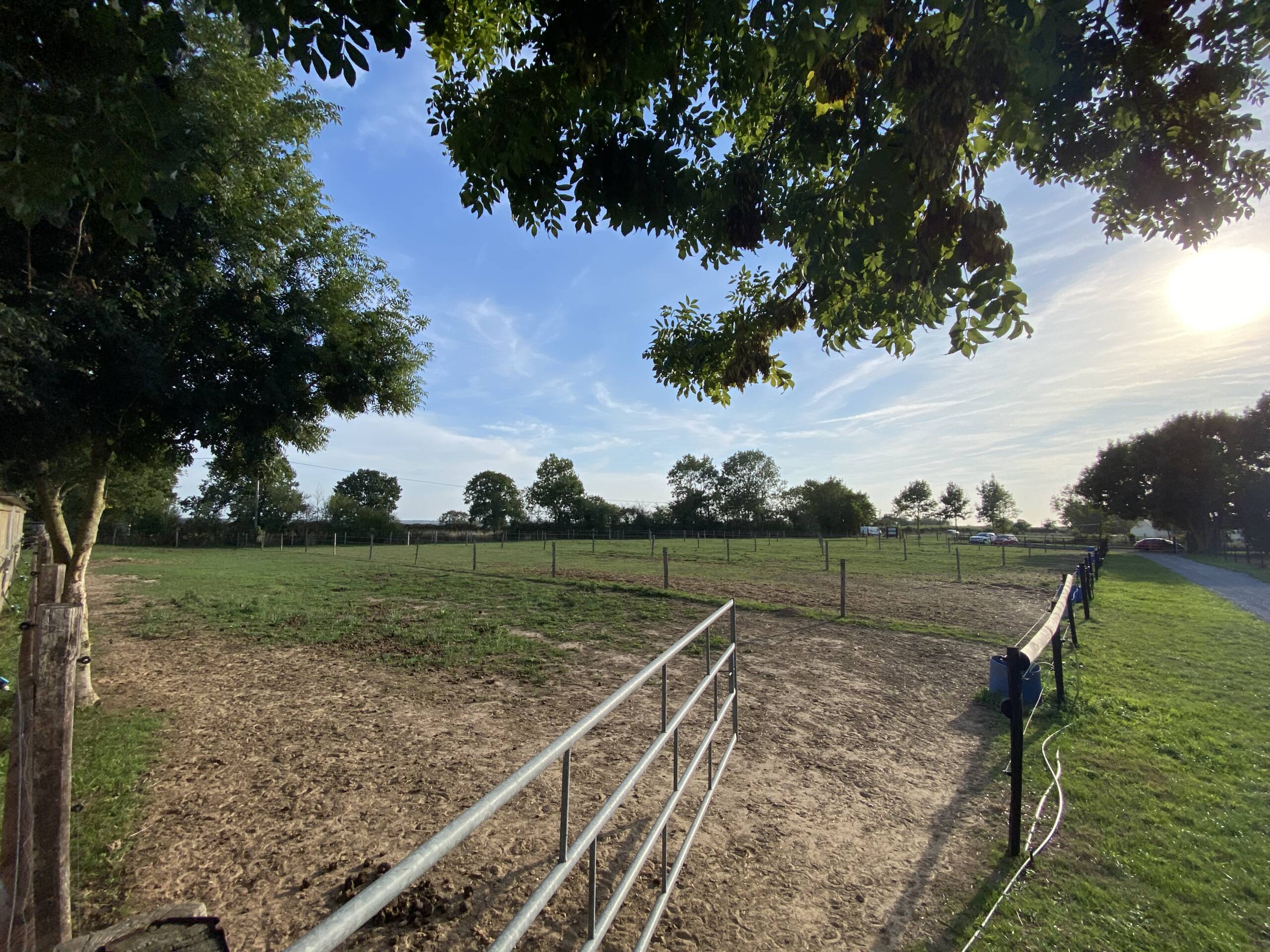 Paddocks et pâtures